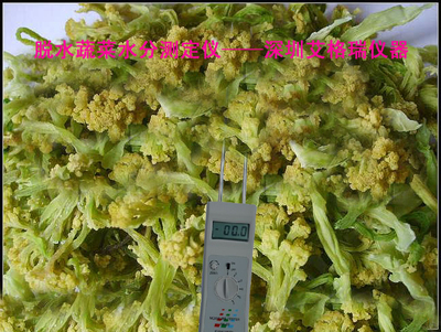精準把控水分，賦能品質升級 中國高場能蔬菜水分儀與水果片水分測定儀全解析